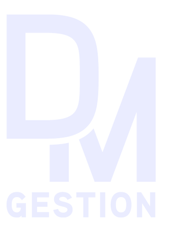 DMGestion_Logo_exp